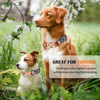 Hikiko Martingale Dog Collar Without Buckle - Retro Orange Flower / Large - image 3