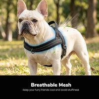 Didog No Pull Dog Harness for Large Dogs, Breathable Mesh Padded - Black / S: Chest 19-23", Fit 19-29 lbs - image 2