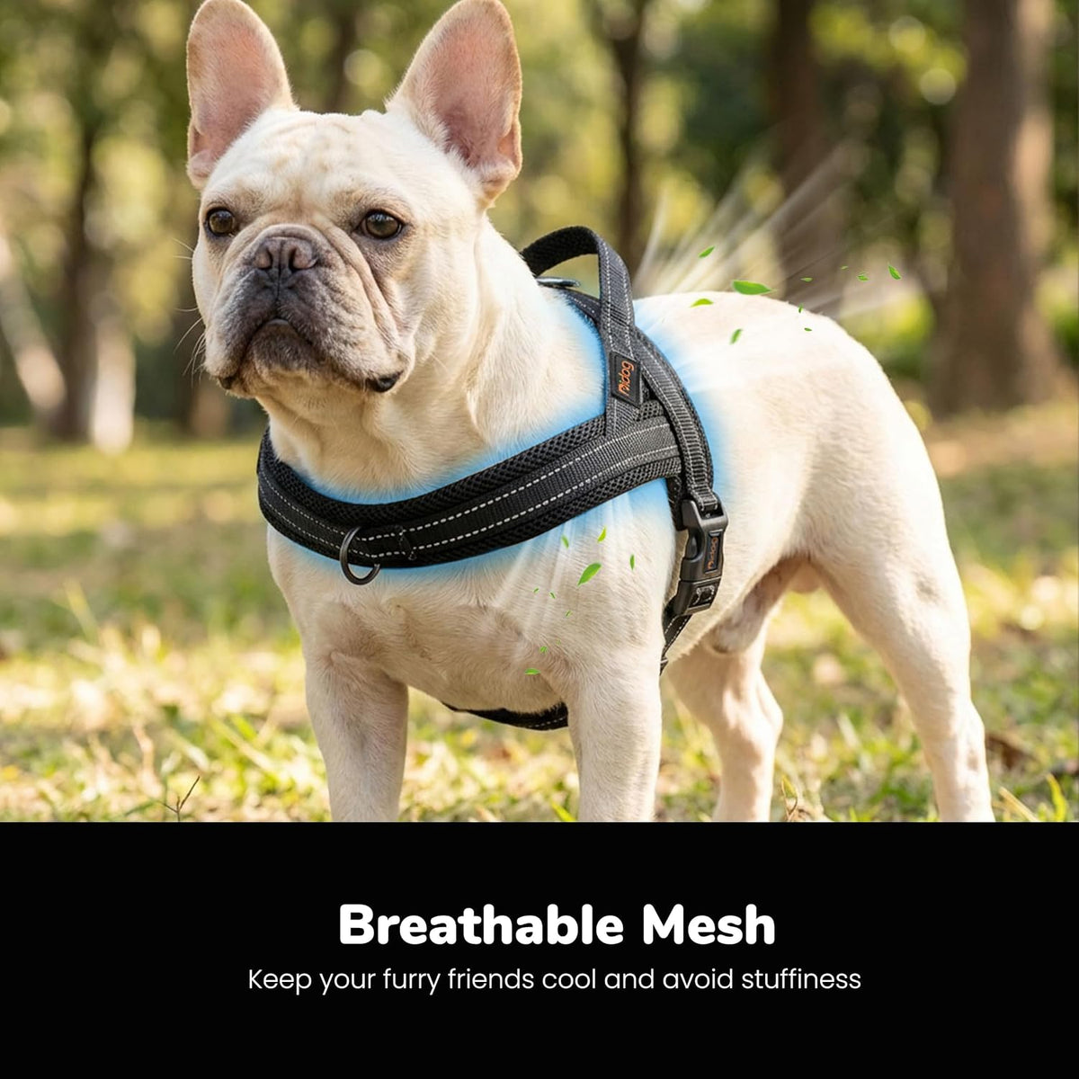 Didog No Pull Dog Harness for Large Dogs, Breathable Mesh Padded - Black / S: Chest 19-23", Fit 19-29 lbs - image 2