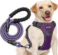 No Pull Dog Harness Adjustable Reflective Oxford Easy Control Medium Large Dog Harness with A Free Heavy Duty 5ft Dog Leash (L (Chest: 25.5"-31"), Purple Harness+Leash)