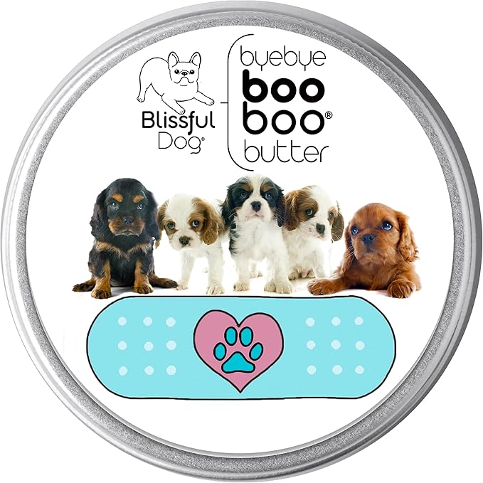 The Blissful Dog 4 oz TIN Cavalier King Charles Spaniel Booboo Butter