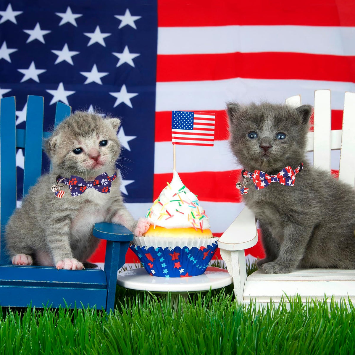 Fall Cat Collar with Bowtie - 7.5"- 10.5" / 4th of July - image 3