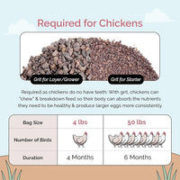 Chicken Grit for Layer & Grower Chickens Age 8-20+ Weeks - 100% Natural Mineral Chicken Grit Quartzite, Poultry Grit, USA Mined, 4 lbs