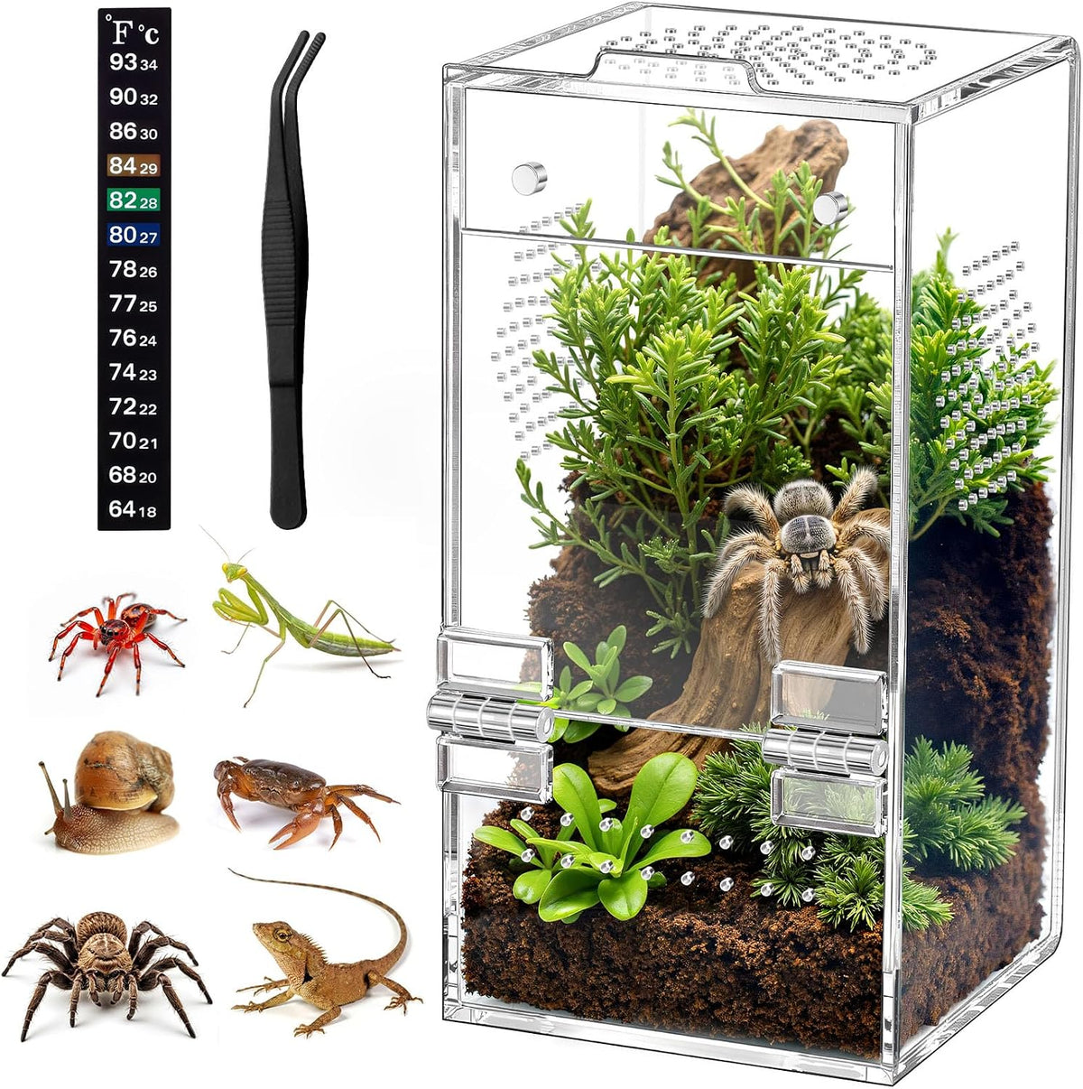Pre-Assembled Jumping Spider Enclosure, All-Side Ventilation – Essentials for Reptiles And Amphibians - Small Vertical (3"×3"×7")