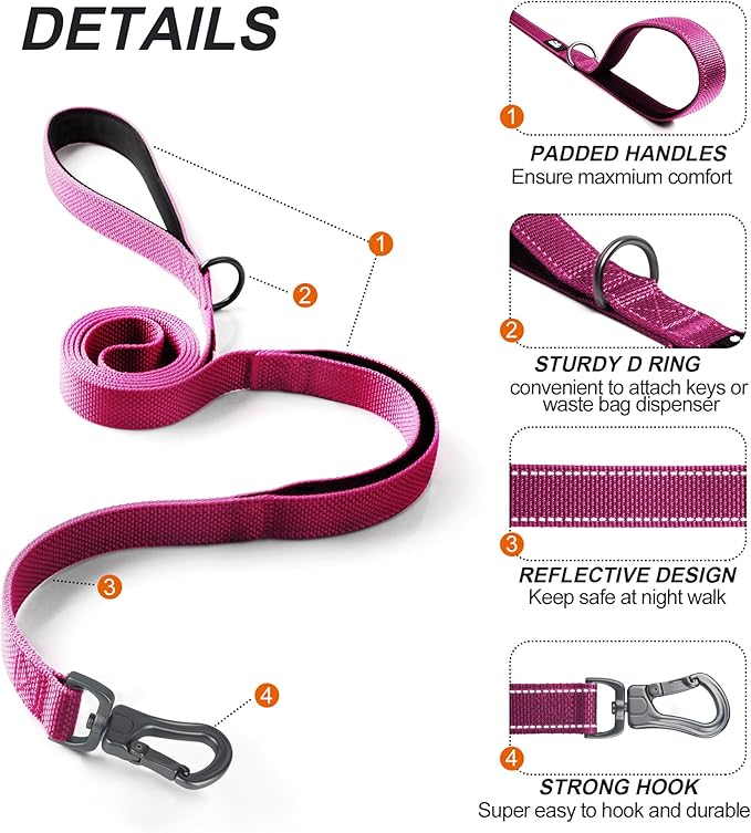 TwoEar 5FT 1IN Strong Rose Dog Leash with 2 Padded Handles, Traffic Handle Extra Control, Comfortable Soft Dual Handle, Auto Lock Hook, Reflective Walking Lead for Small Medium and Large Dogs