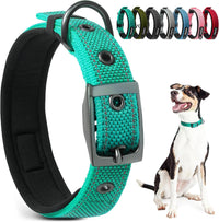 PetiFine Dog Collars for Medium Dogs - Teal / Large (19"-23")