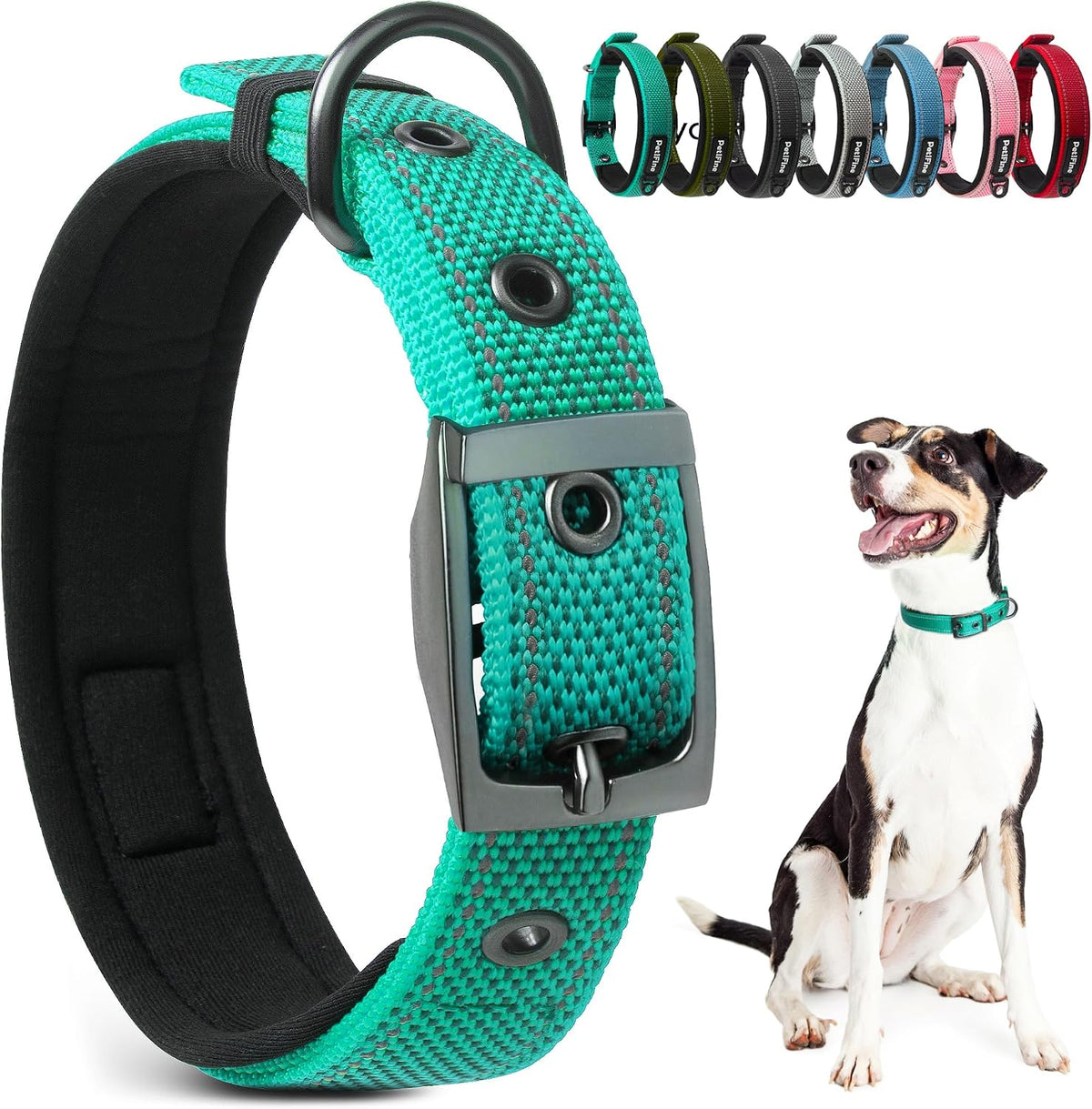 PetiFine Dog Collars for Medium Dogs - Teal / Large (19"-23")