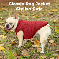 Fleece Lined Dog Jacket for Small Dogs, Winter Dog Coat - Red / XX-Large - image 2