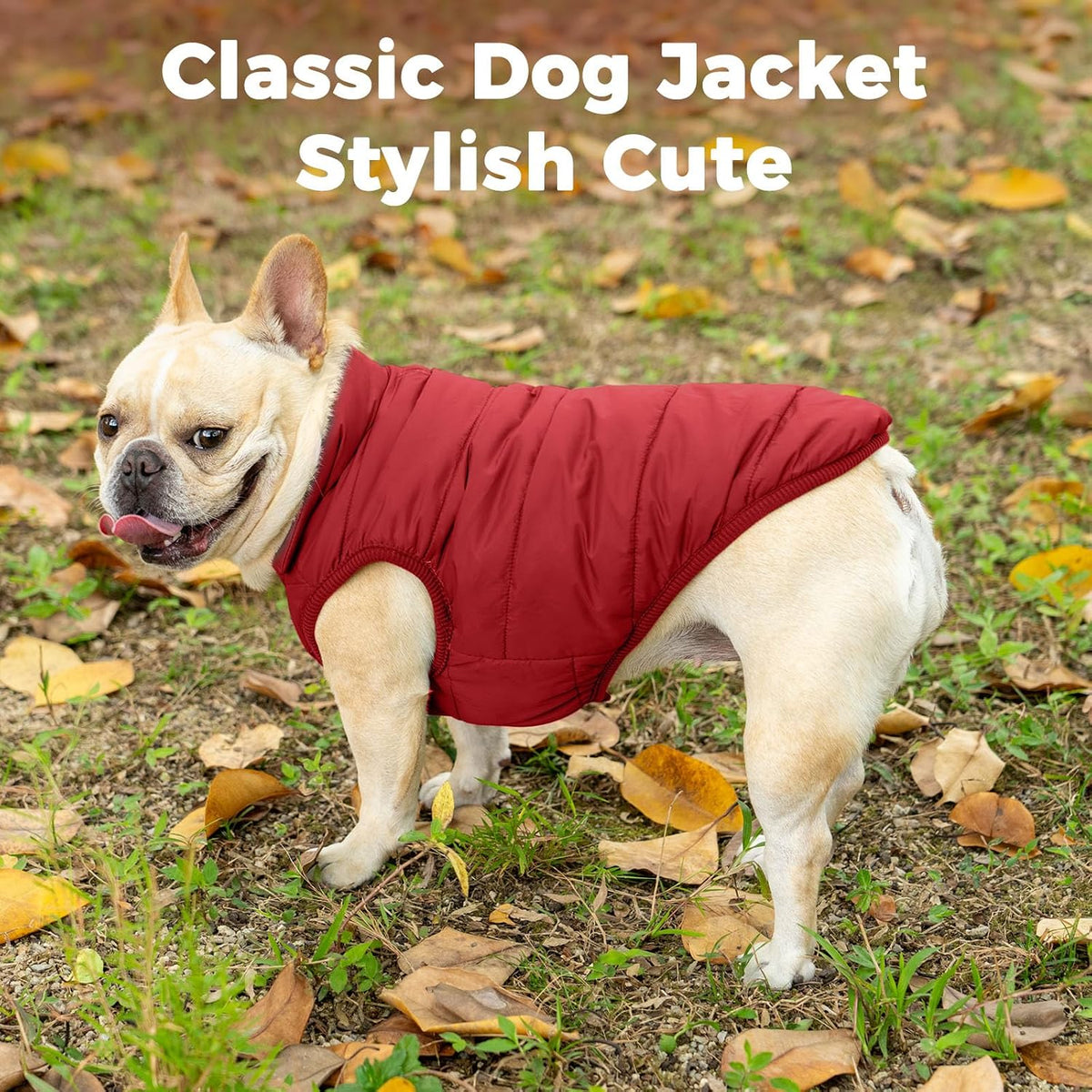 Fleece Lined Dog Jacket for Small Dogs, Winter Dog Coat - Red / XX-Large - image 2