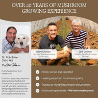 Real Mushrooms Lion’s Mane Pet Mushroom Supplement – Pet Wellbeing Capsules – for Cat & Dog Supplement & Vitamins – Support Mindful Routines – Organic, Vegan, Non-GMO, 120 Count