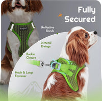 Eagloo Small Dog Harness and Leash Set - M(Chest:16.0"-18.5") / Green - image 4