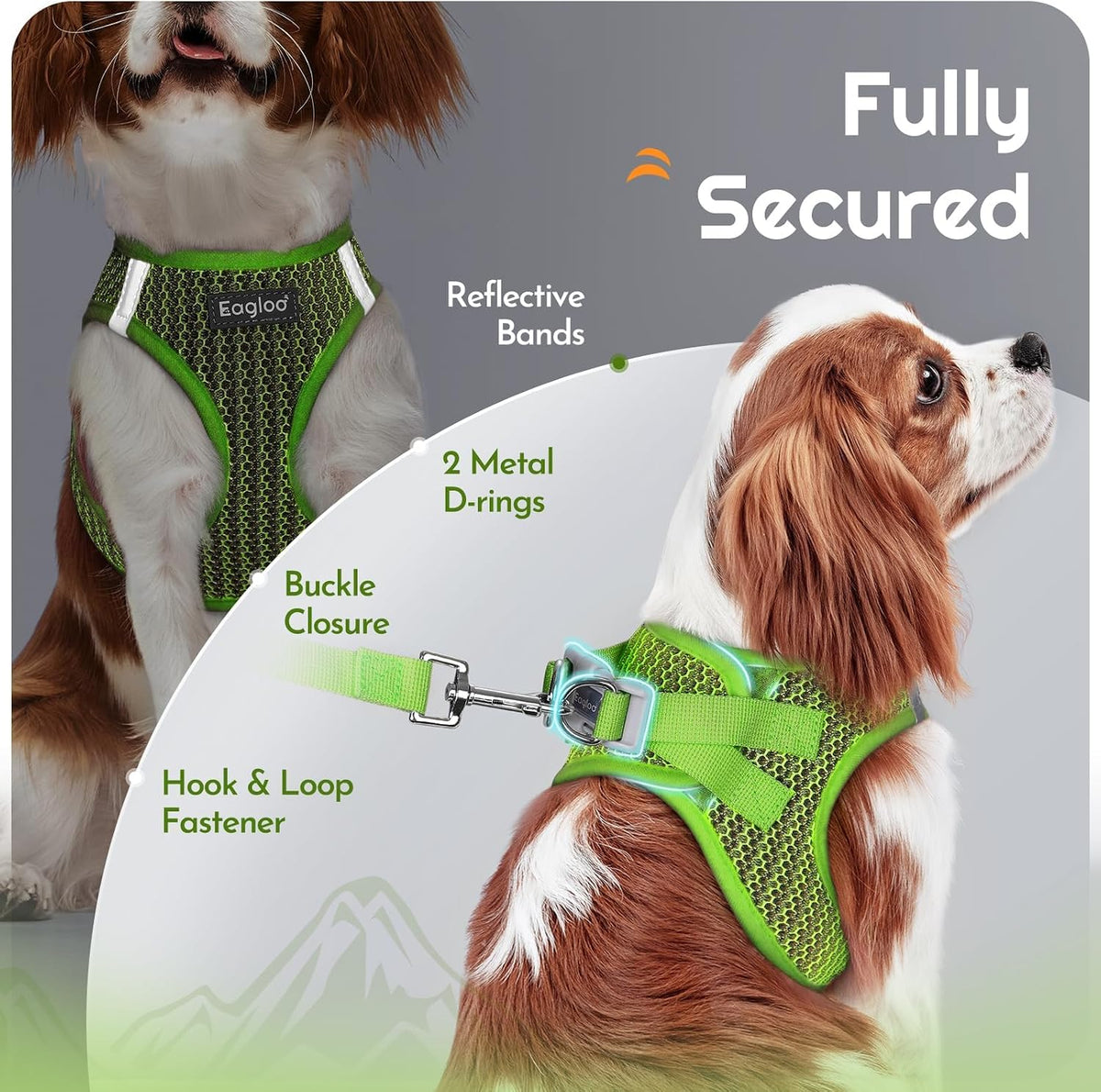 Eagloo Small Dog Harness and Leash Set - M(Chest:16.0"-18.5") / Green - image 4