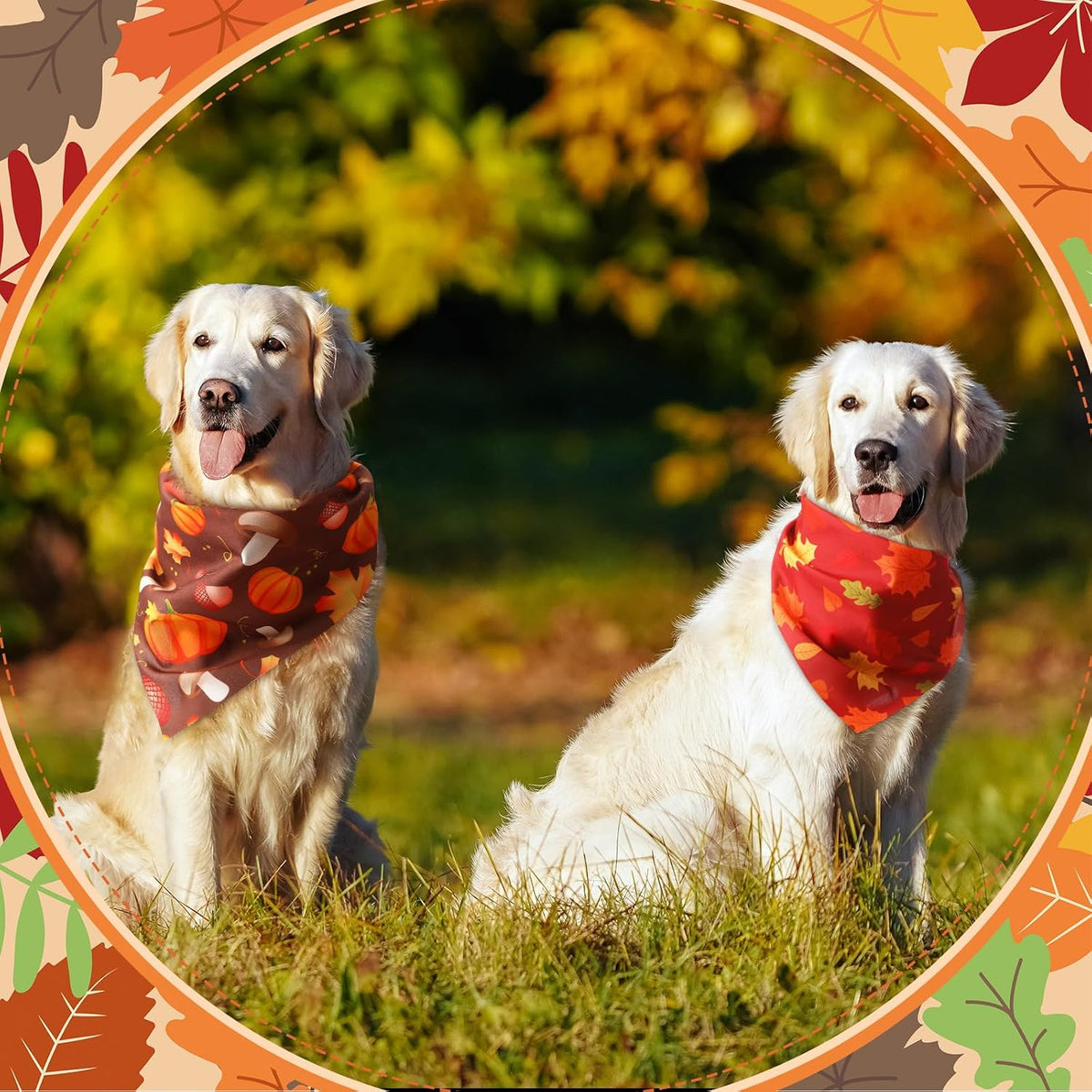 Chunful 100 Pcs Fall Dog Bandanas Bulk Maple Leaf Print Autumn Pet - Pumpkin / 31.5 x 21.7 x 21.7" - image 4