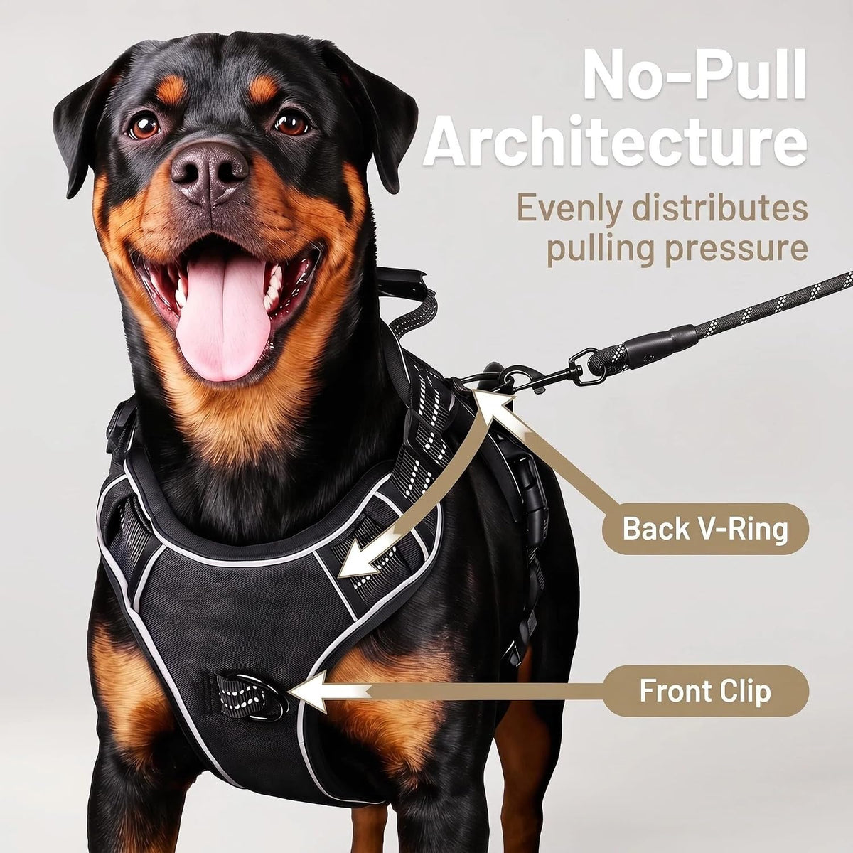 Dog Harness and Leash Set for Large Dogs - Black / L - image 3