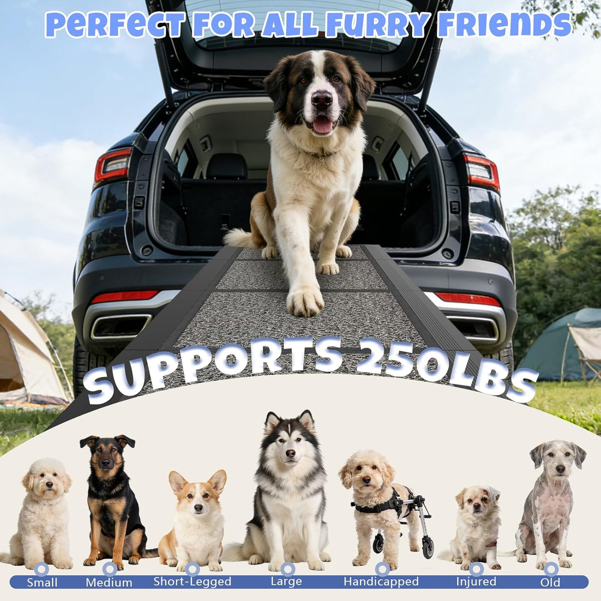 Dog Ramp for Car, Truck, 63"x17" Folding Non-Slip Pet Ramp for Large Dogs – Essentials for Dogs - 63" L x 17" W - image 4