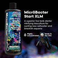 Brightwell Aquatics MicroBacter Start XLM - Concentrated Freshwater Nitrifying Bacteria - Quick Start Fish Tank Starter, Lift Microbe Levels & Water Filtering - Aquarium Water Treatments, 4.22 fl oz
