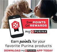 Purina Busy Bone Adult Toy Breed Dog Chew Bone Treats, Tiny - 30 ct. Pouch