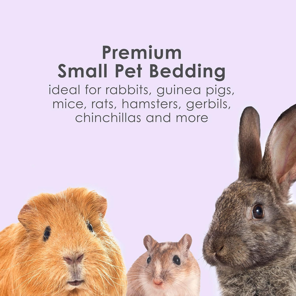 Kaytee Clean & Cozy Lavender Paper Bedding for Guinea Pigs - 49.2 Liters - image 4