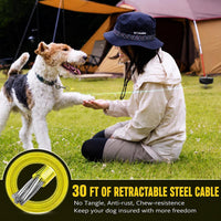 30ft Retractable Dog Tie Out Cable and Stake - image 3