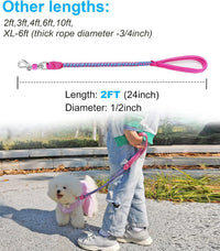 Reflective Dog Leash 2/3/4/6/10ft Braided 1/2" Strong Nylon Rope – Essentials for Dogs - 2ft * 1/2" / Pink - image 3