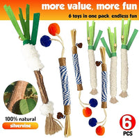 Catnip 6PCS Chew Stick with Wrapped Cotton Rope – Natural Dental Care Cat Toy for Teeth Cleaning & Gum Health, Satisfies Chewing Instincts, Safe & Long-Lasting Kitten Teething Toy