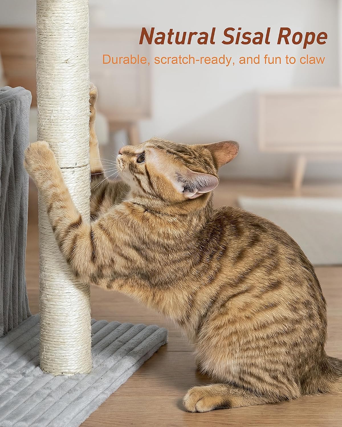 22.8" Cat Tree for Large Cat - Light Gray - image 3