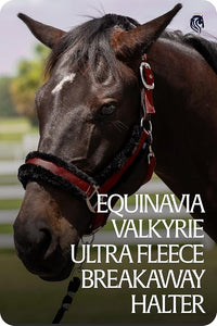 Equinavia Valkyrie Soft Ultra Fleece Padded Adjustable Breakaway Horse Halter - Wine Red/Black - Warmblood