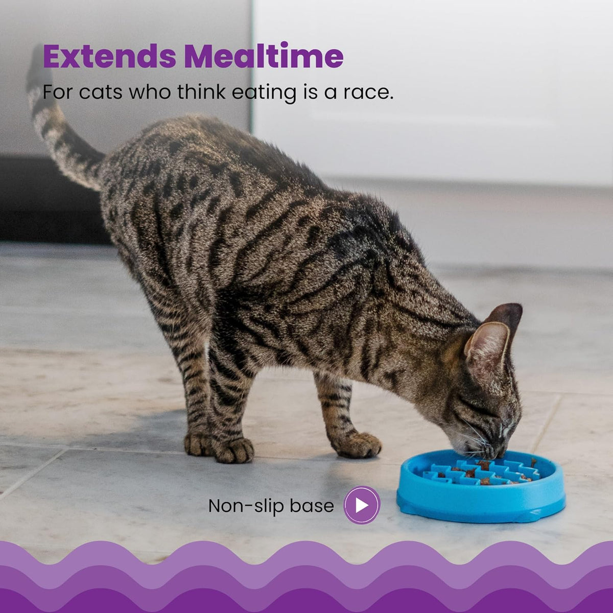 Catstages Kitty Slow Feeder Bowl for Cats & Kittens, 3/4 Cup - Slow Feeder - Blue - image 3