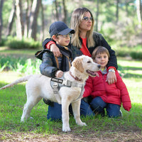 voopet Service Dog Harness, Emotional Support Pet Vest Harness - Medium (Pack of 1) / Silver - image 4