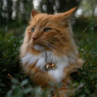 Beau's Bells 2 Extra Loud Cat & Dog Bells, Pet Tracker - Small - image 4