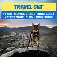 Travel Cat Harness and Leash Set - Small / Black - image 3