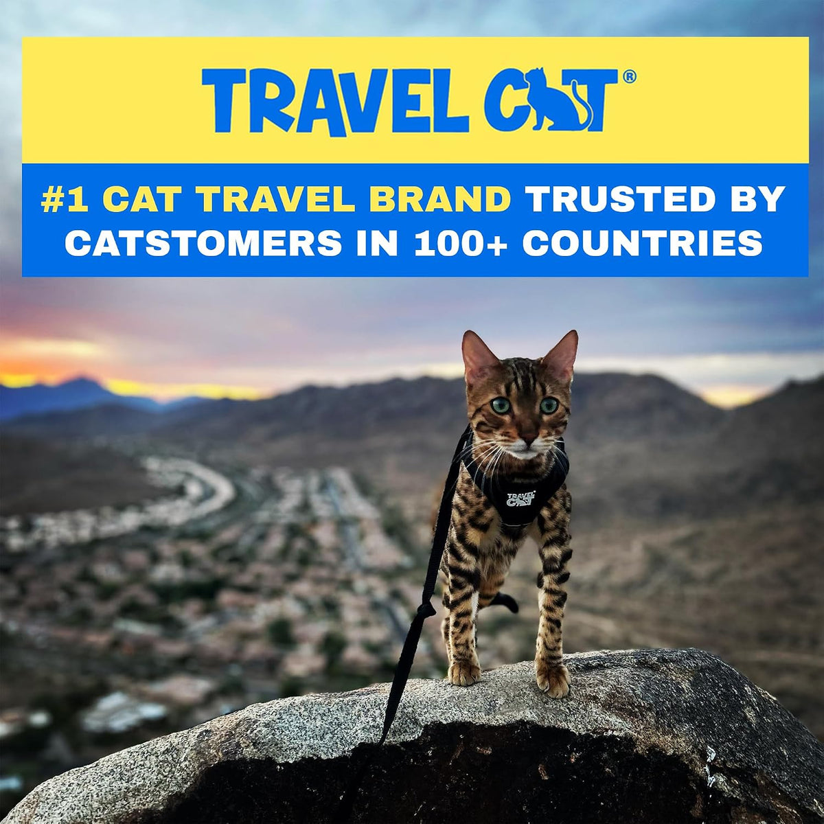 Travel Cat Harness and Leash Set - Small / Black - image 3
