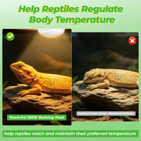 LUCKY HERP Reptile Heat Lamp Bulbs 100W - 100 - image 4