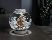 biOrb Marble Pebble Set , Solid and High-Quality Aquarium Decorations, White – Essentials for Fish - image 2