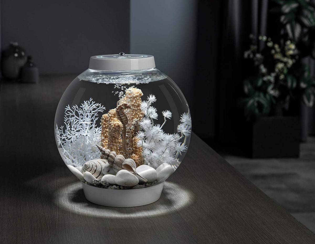 biOrb Marble Pebble Set , Solid and High-Quality Aquarium Decorations, White – Essentials for Fish - image 2