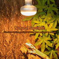 REPTI ZOO 2 Pack Heat Lamp 100W - Natural Basking Light Bulb - image 2
