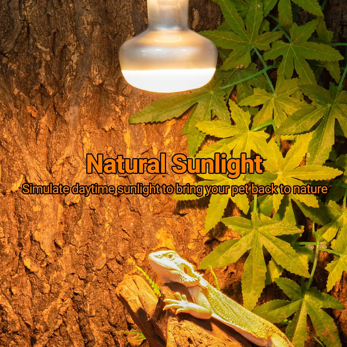 REPTI ZOO 2 Pack Heat Lamp 100W - Natural Basking Light Bulb - image 2