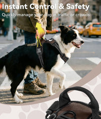 Joytale No Pull Dog Harness Medium Sized Dog, Front Clip - Large / Brown - image 3