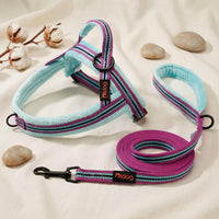 6FT Reflective Dog Leash for Small Medium Dogs, 5/8" Width - Mixed-Blue / 5/8''x 6 FT - image 4