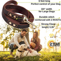 ADITYNA Leather Dog Leash for Large, and Small Dogs - L - 6 ft x 3/4 inch / Brown - Gold Colored Clasp - image 2