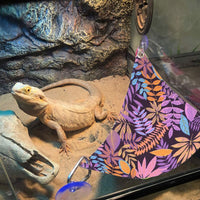 Bearded Dragon Hammock, Reptile Lizard Lounger Ladder Accessories Terrarium Habitat Decor for Large - Purple - image 3