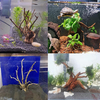 Aquarium Driftwood Reptile Branches Wood Natural Spiderwood Driftwood - 5 Pcs - image 4