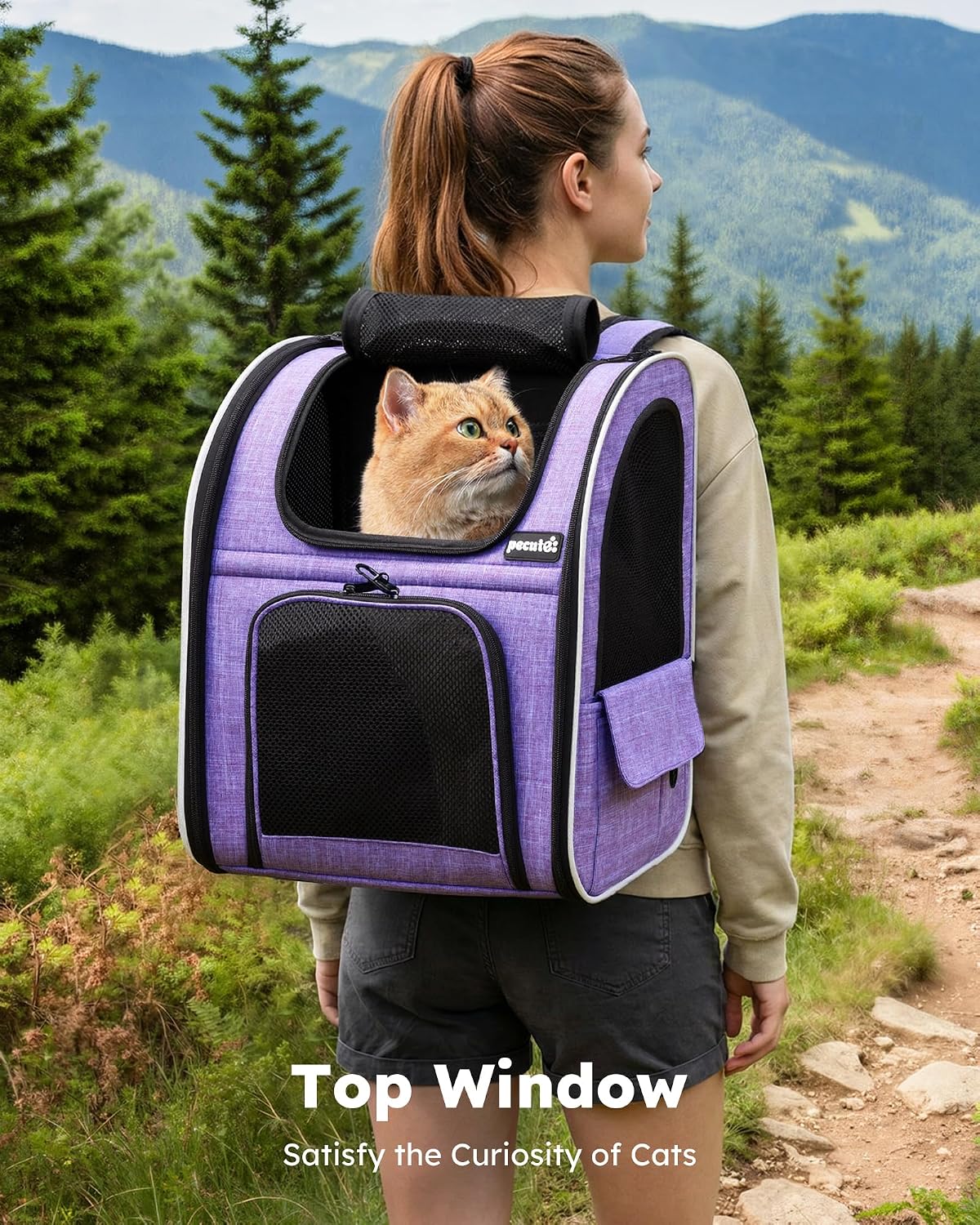 pecute Cat Backpack Expandable - Purple / 12.6"L x 10.2"W x 16.5"H / Mesh Window - image 3