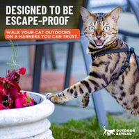 Houdini Escape Proof Cat Harness and Leash – Essentials for Cats - Black / M/L - image 2