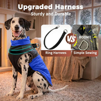 Winter Dog Coats for Small Dogs, Puppy Jacket with Harness - Blue(Standard) / XX-Large - image 2