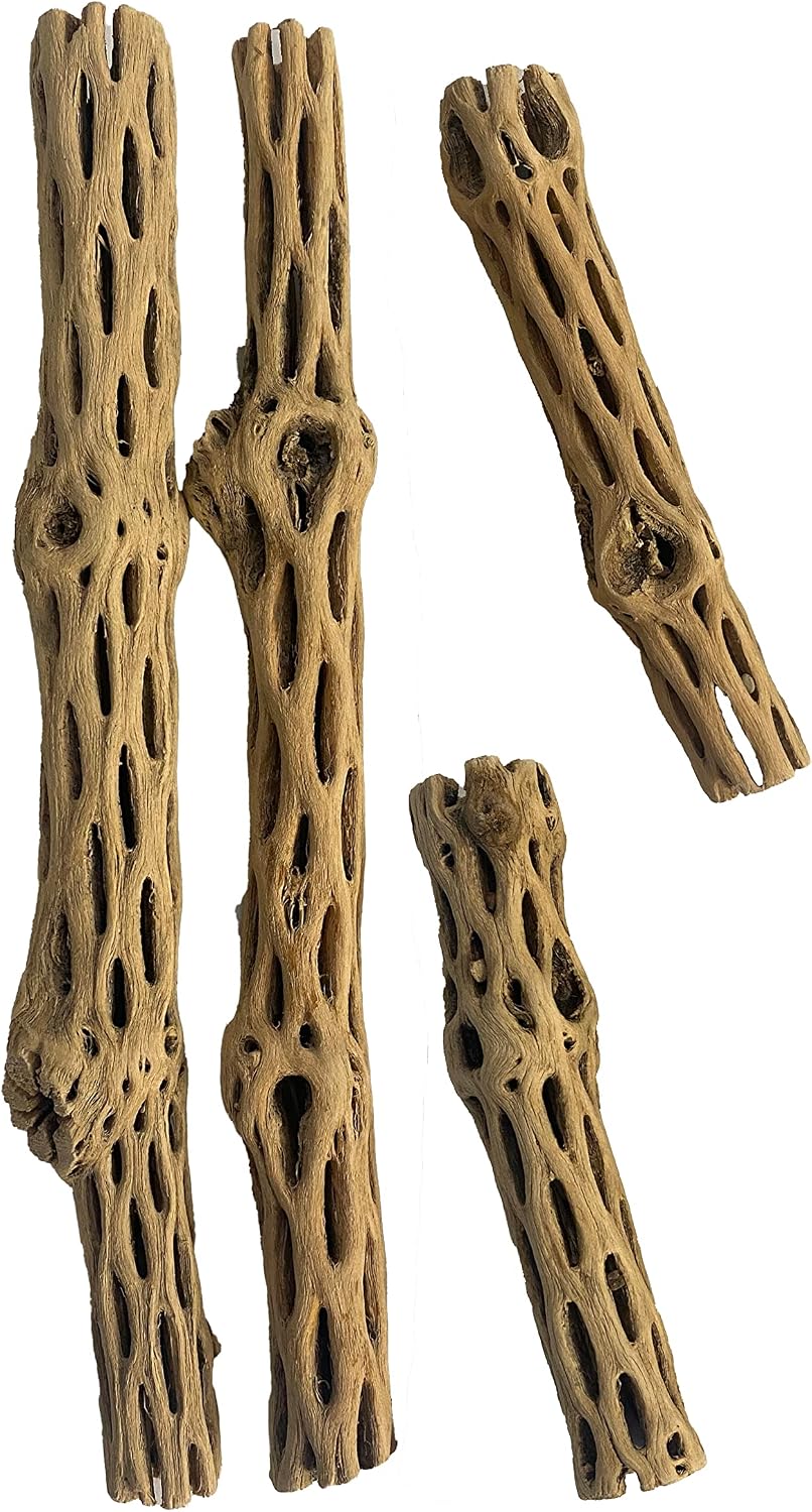 Awesome Aquatic Natural Staghorn Cholla Wood Tube - 4 pc Combo 2-6" & 2-12"