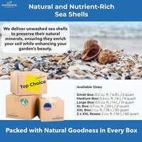 Natural Organic Sea Shell Mulch for Gardens and Landscaping – Decorative and Nutrient-Rich, 0.5–3-Inch Shells, Perfect for Indoor and Outdoor Use (0.2 CF - 4.8 L - 5 QTS)
