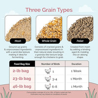Organic Chicken Feed – Layer Pellet, Non-GMO, USA Grown, 16% Protein, Corn-Free, Soy-Free, Non-Medicated Feed for Chickens, 23 lbs