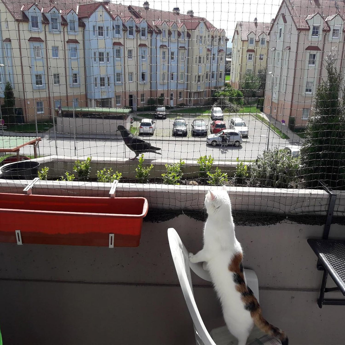 Cat Netting Balcony, UV & Weather-Resistant Cat Balcony Safety Net, Transparent Nylon Pet Mesh - Transparent 10x26ft - image 3