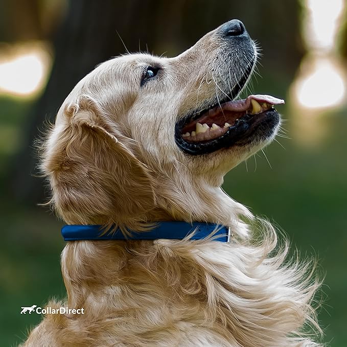 CollarDirect Rolled Leather Dog Collar, Soft Padded Round Puppy Collar, Handmade Genuine Leather Collar Dog Small Large Cat Collars 13 Colors (6-7 Inch, Deep Blue Textured)